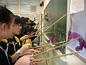 DSCN4914